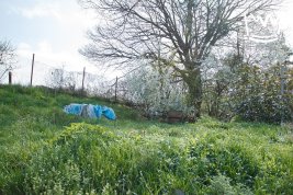 Chata v blízkosti Prahy, pozemek 366 m2, Osnice, Jesenice