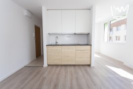 Byt 1+kk, 34 m2, po rekonstrukci, Vitry, Kladno