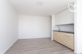 Byt 1+kk, 34 m2, po rekonstrukci, Vitry, Kladno