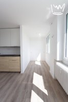 Byt 1+kk, 34 m2, po rekonstrukci, Vitry, Kladno