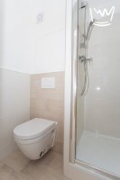 Byt 1+kk, 34 m2, po rekonstrukci, Vitry, Kladno