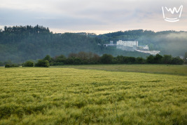 Stavební pozemek, 2748 m2, Český Šternberk