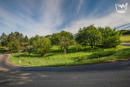 Stavební pozemek, 2748 m2, Český Šternberk